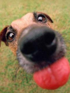 Other Wallpapers 0838